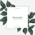 Naturalis Essence of Nature Bergamot Essential Oil