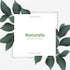 Naturalis Essence of Nature Australian Tea Tree Essential Oil