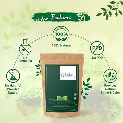 Gulmohar Organic BAQ Mehandi Powder