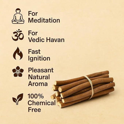 Khejri (Shami) Havan Samidha Sticks