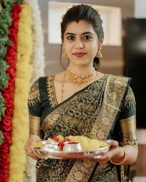 Vasthrlay Banarasi Saree