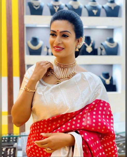 Vasthrlay Banarasi Saree