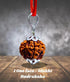 Rudraksh Chain (Big Size) / Rudraksha Mala (Big Size)