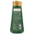 Kesh King Ayurvedic Anti Hairfall Shampoo