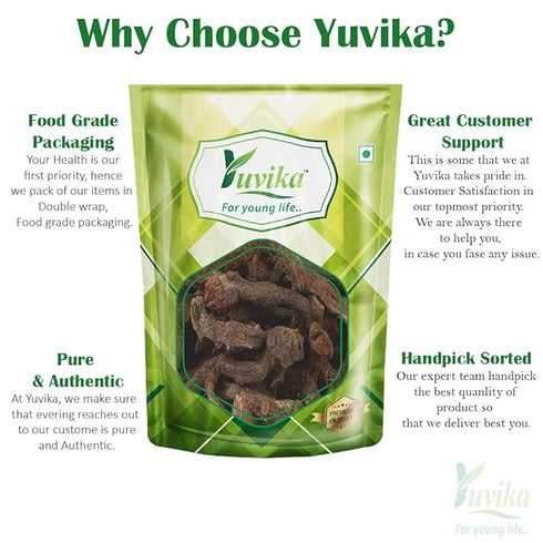 Yuvika Bispis - Bisphus - Polypodium vulgare - Wall Fern