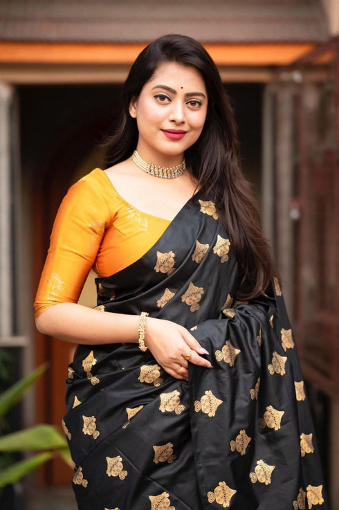 Vasthrlay Kanjivaram Saree