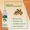 Indus Valley Argan Oil Shampoo For Hair Care
