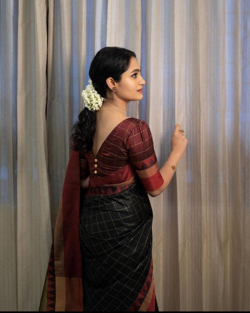 Vasthrlay Banarasi Saree