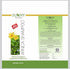 Sunny New & Improved pH Balanced Arnica Shampoo