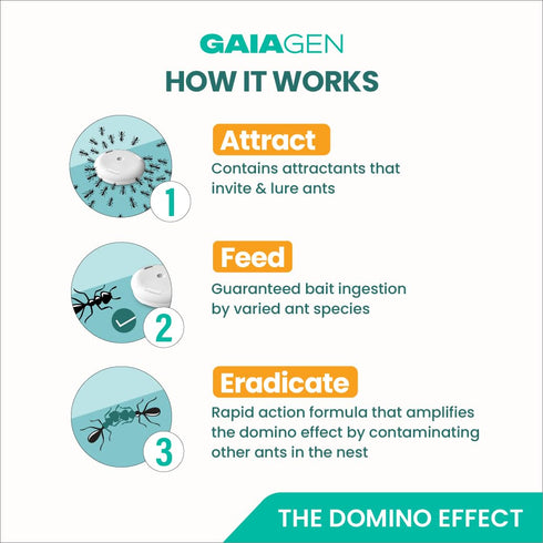 Gaiagen Ant Control Gel | Permanent Ant Removal From Home