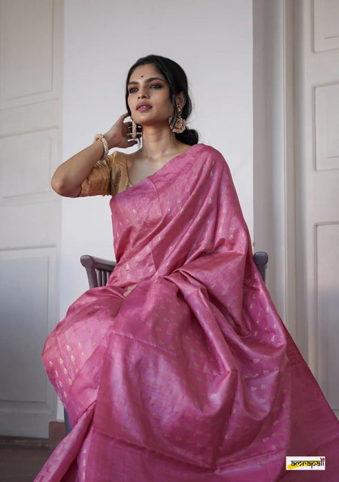 Vasthrlay Cotton Woven Saree