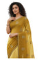 Vasthrlay Chiffon Traditional Ethinic Az Ys Vanshika Ethnic Wear