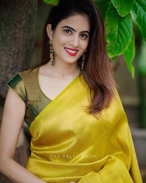 Vasthrlay Kanjivaram Saree