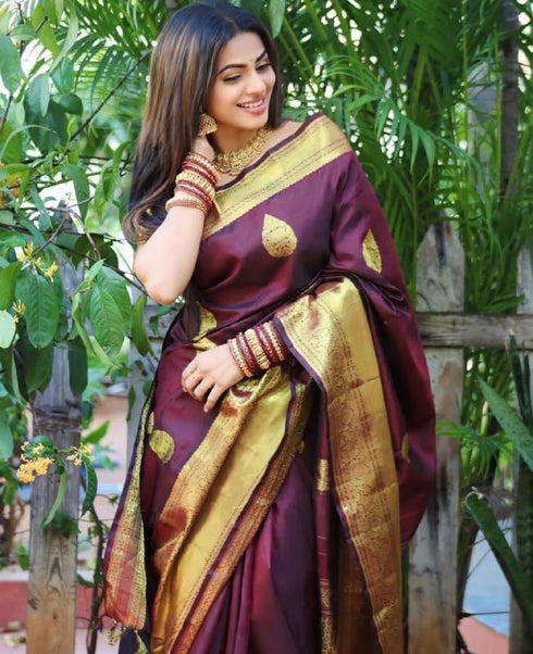 Vasthrlay Banarasi Saree
