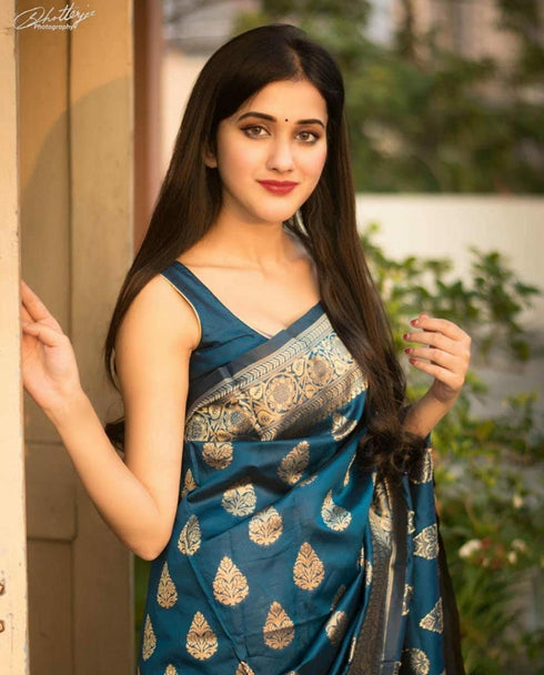 Vasthrlay Banarasi Traditional Saree