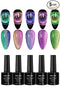 BOLT BEE 9D Cat Eye Gel Nail Polish, Magnetic Cat Eye Gel Polish Set 5pcs set