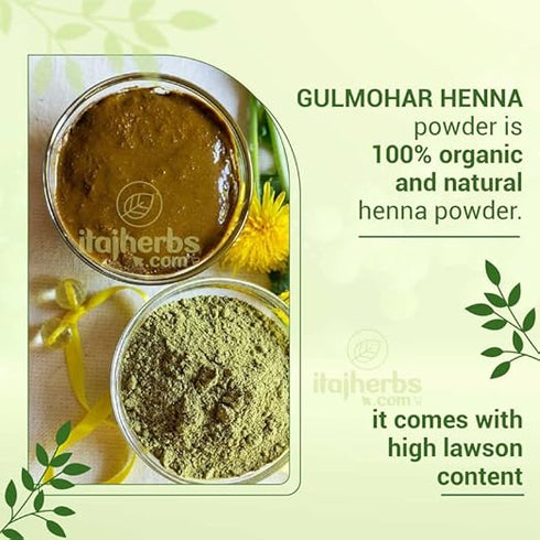 Gulmohar Organic BAQ Mehandi Powder