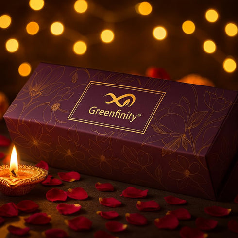 GreenFinity Premium Dry Fruits Gift Box