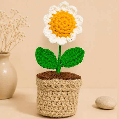 Crochet Daisy Flower Pot