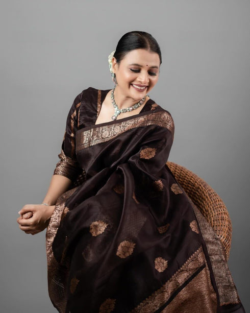 Vasthrlay Kanjivaram Saree