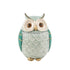 Chumbak Pinterest Owl Decor Teal