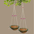 Jainsons Pet Products Hanging Outdoor Bird Feeder Pack of 2