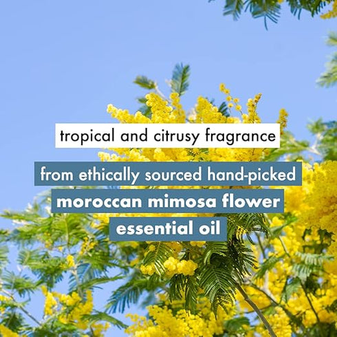 Love Beauty And Planet Coconut Water and Mimosa Flower Shampoo