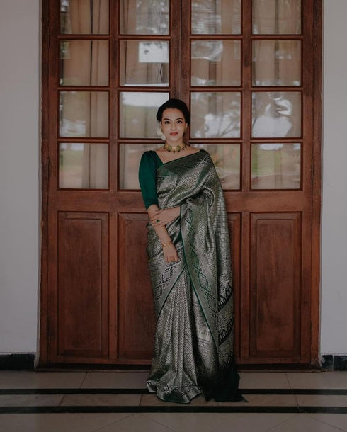 Vasthrlay Banarasi Saree