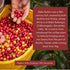 Toffee Coffee Roasters Baba Budangiri Whole Bean Coffee 1kg