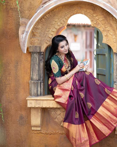 Vasthrlay Banarasi Traditional Saree