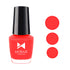 Moraze Cosmetics Neon Pack Of 6 Nail Polish With Top Coat