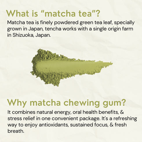 Japanese Matcha Chewing Gum (Gud Gum x Tencha)