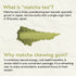 Japanese Matcha Chewing Gum (Gud Gum x Tencha)