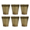 Pure Brass Small Pooja/Bhog Glass | Pack of 6