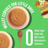 Early Foods Organic Sattu Maavu Porridge Mix