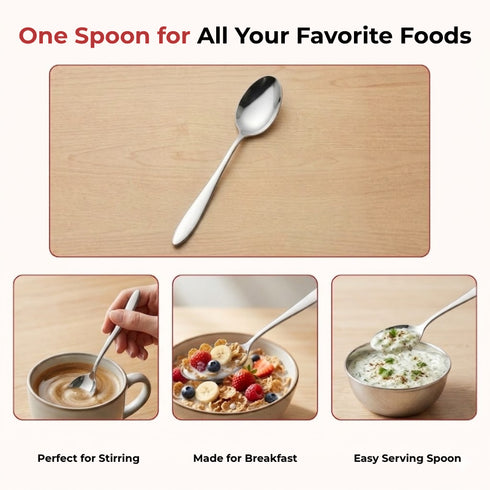 Vinod Florence Stainless Steel Dessert Spoon Set of 12 Piece Heavy Gauge Steel Mirror Finish Rust Free Tough Strong and Durable