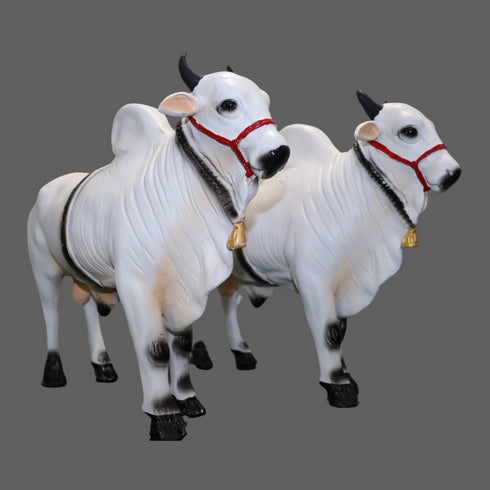 Large Fiber Ongole Bull Pair - Table Decoration Figurines