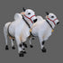 Large Fiber Ongole Bull Pair - Table Decoration Figurines