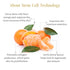 Shankara Timeless Restorative Skin Elixir