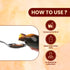 Jeena Sikho CKD Syrup Ayurvedic Kidney Support Urinary Comfort and Fluid Balance
