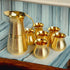 Tamas Brass Pitcher Shape Jug and 4 Glasses Set