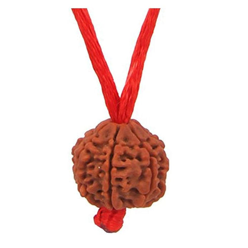 Natural Certified Nepali Rudraksha (Pack of 1)