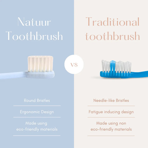 Natuur Daito Tooth Brush Honeybee (Made in Japan )