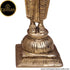 Tamas Brass Handcrafted Pavai Lamp with Antique Finish