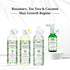 Keya Seth Aromatherapy Rosemary Tea Tree Coconut Serum & Shampoo Combo