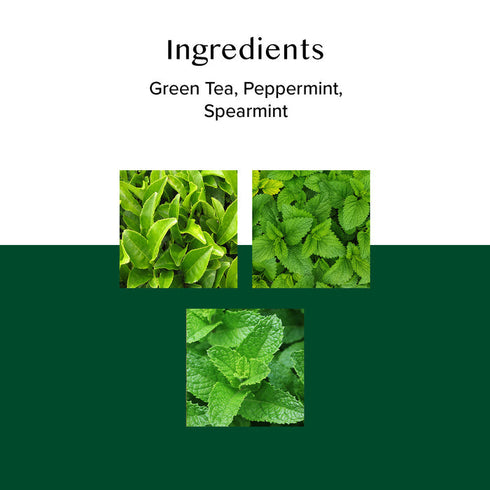 Vahdam Mint Melody Green Tea