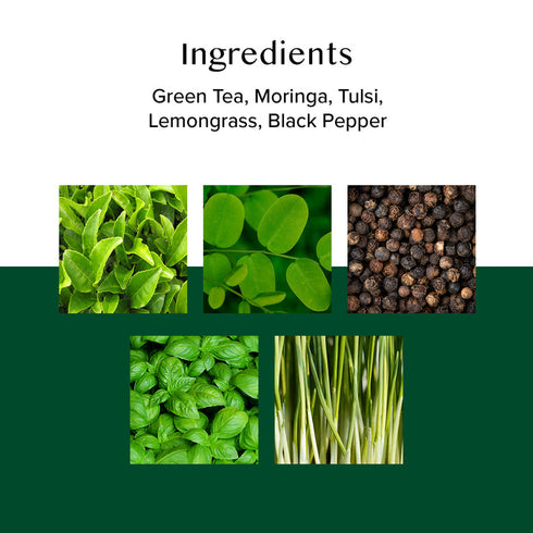 Vahdam Tea Moringa Tulsi Green Tea