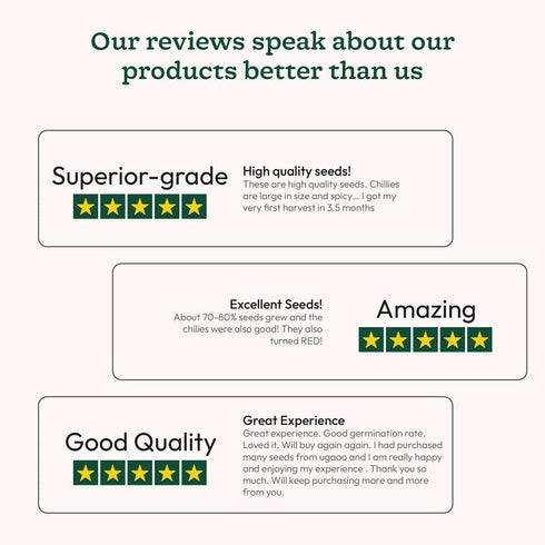 Ugaoo Chilli Vegetable Seeds