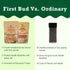 First Bud Organic Detox Tea Combo