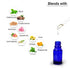 Keya Seth Aromatherapy Rosemary Essential Oil